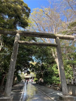 前鳥神社（相模國四之宮）の参拝記録(⛩️🐍🐢まめ🐢🐍⛩️さん)