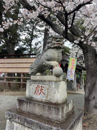 三嶋神社（平塚三嶋神社）の参拝記録(⛩️🐍🐢まめ🐢🐍⛩️さん)