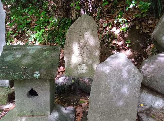 牛頭天王社の写真1