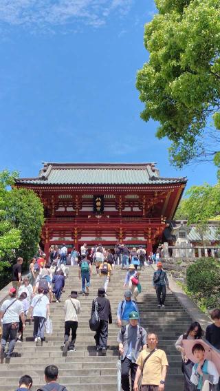 鶴岡八幡宮（相模国一宮）の参拝記録(のとゆささん)