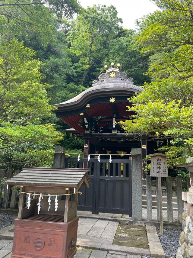 白旗神社（鶴岡八幡宮末社）の参拝記録4