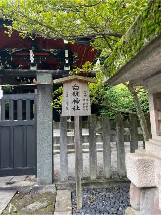 白旗神社（鶴岡八幡宮末社）の参拝記録(⛩️🐉🐢まめ🐢🐉⛩️さん)