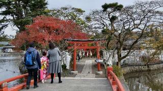 旗上弁財天社（鶴岡八幡宮末社）の参拝記録(松さん)