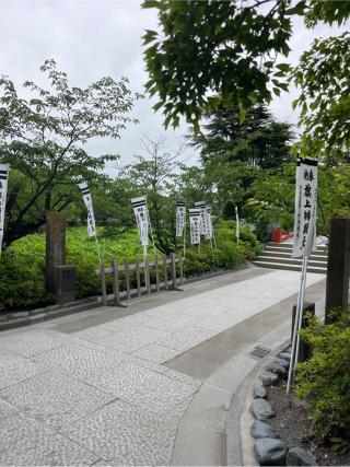 旗上弁財天社（鶴岡八幡宮末社）の参拝記録(⛩️🐍🐢まめ🐢🐍⛩️さん)