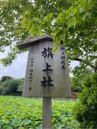 旗上弁財天社（鶴岡八幡宮末社）の参拝記録(⛩️🐍🐢まめ🐢🐍⛩️さん)