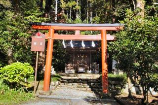 今宮（新宮）の参拝記録(狛猫さん)