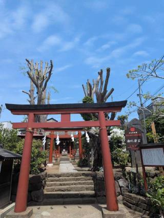 由比若宮（元八幡 / 鶴岡八幡宮境外末社）の参拝記録(SFUKUさん)