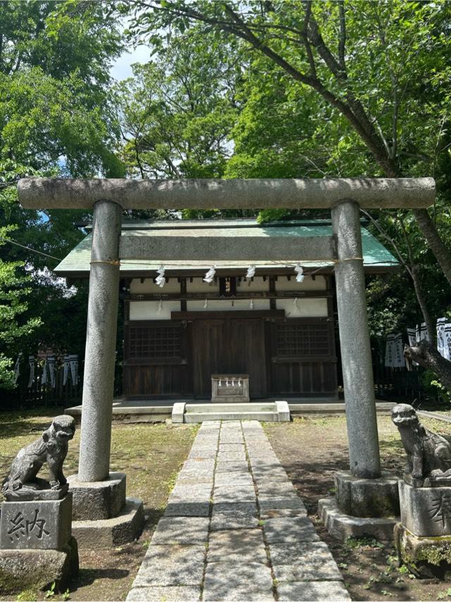 白旗神社（法華堂跡）の参拝記録5