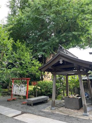 荏柄天神社の参拝記録(⛩️🐉🐢まめ🐢🐉⛩️さん)