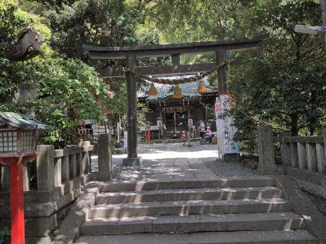 八雲神社の参拝記録9