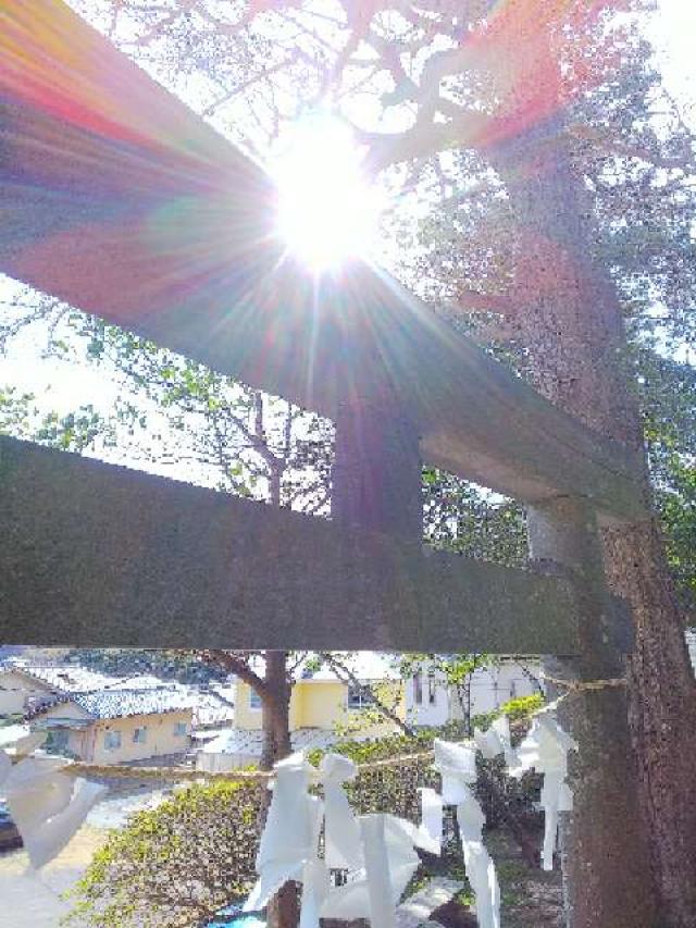 神奈川県鎌倉市十二所285 十二所神社の写真24