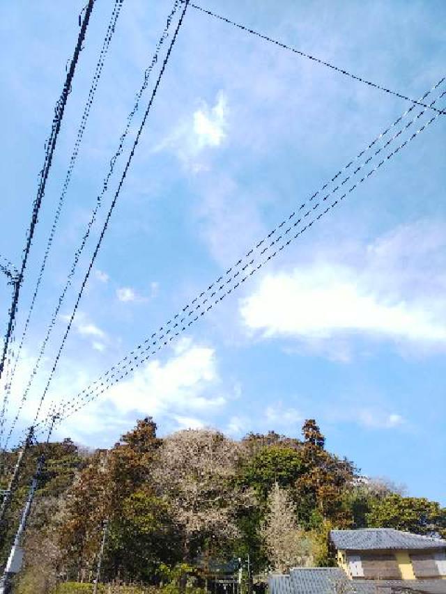 神奈川県鎌倉市十二所285 十二所神社の写真26