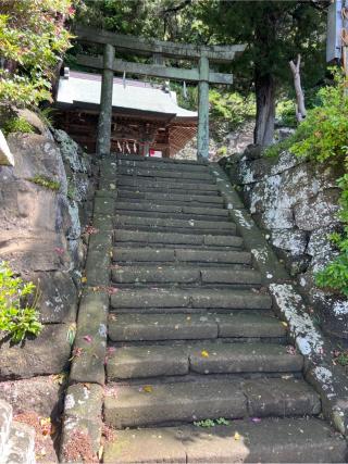 十二所神社の参拝記録(⛩️🎠🐢まめ🐢🎠⛩️さん)