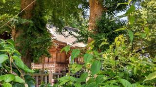御霊神社（権五郎神社）の参拝記録(松さん)