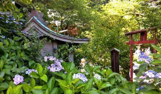 御霊神社（権五郎神社）の参拝記録(松さん)