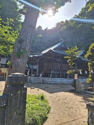 御霊神社（権五郎神社）の参拝記録(まーさんさん)