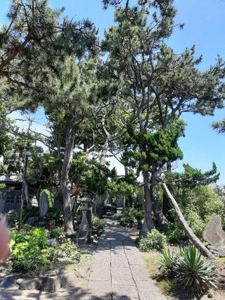 石上神社（御霊神社）の参拝記録(あられさん)