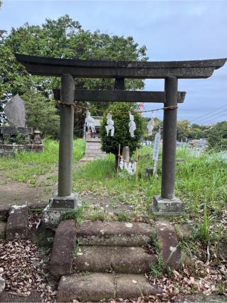 八雲神社の参拝記録(こーちんさん)