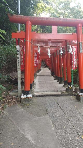 佐助稲荷神社の参拝記録(やっちゃんさん)