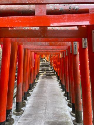佐助稲荷神社の参拝記録(ハコさん)