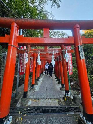 佐助稲荷神社の参拝記録(たくまささん)