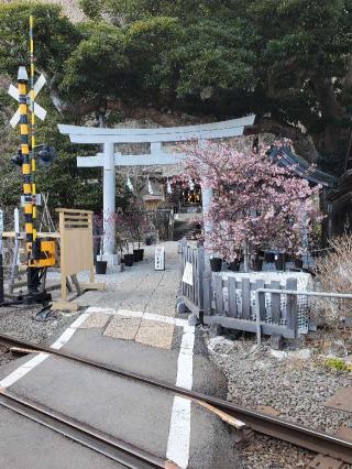 梶原御霊神社の参拝記録(ヒロ&ダディさん)