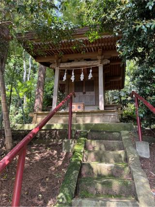 稲荷神社の参拝記録(こーちんさん)