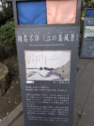 八坂神社（江島神社）の参拝記録(SFUKUさん)