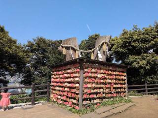 稲荷社・秋葉社（江島神社末社）の参拝記録(SFUKUさん)