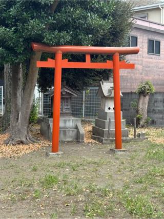 八幡神社（諏訪神社末社）の参拝記録(こーちんさん)
