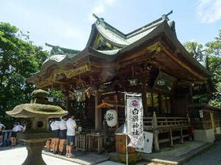 白旗神社（藤沢白旗神社）の参拝記録(松さん)