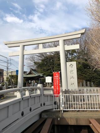 白旗神社（藤沢白旗神社）の参拝記録(ぱにゃにゃんさん)