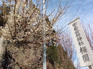 宇都母知神社の参拝記録(ひーさん)