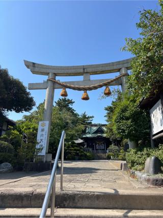 第六天神社の参拝記録(⛩️🐍🐢まめ🐢🐍⛩️さん)