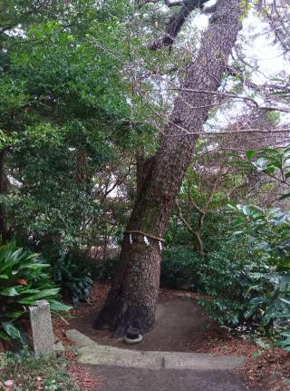 第六天神社の参拝記録(ひーさん)