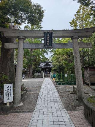 亀岡八幡宮の参拝記録(ヨッシーの卵さん)