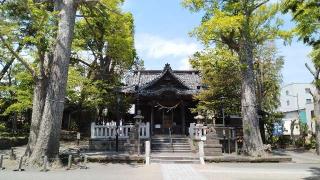 亀岡八幡宮の参拝記録(Daisy ♂さん)