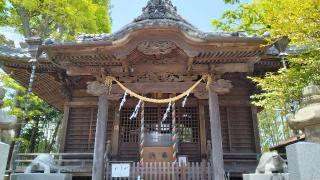亀岡八幡宮の参拝記録(Daisy ♂さん)