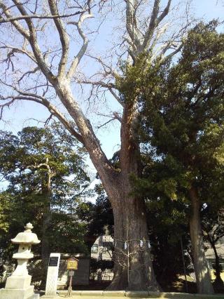 五霊神社の参拝記録(バルバロッサさん)