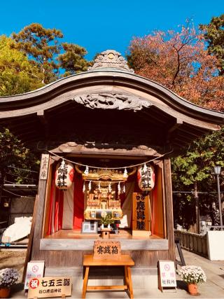鹿島神社（谷口）の参拝記録(tsuさん)