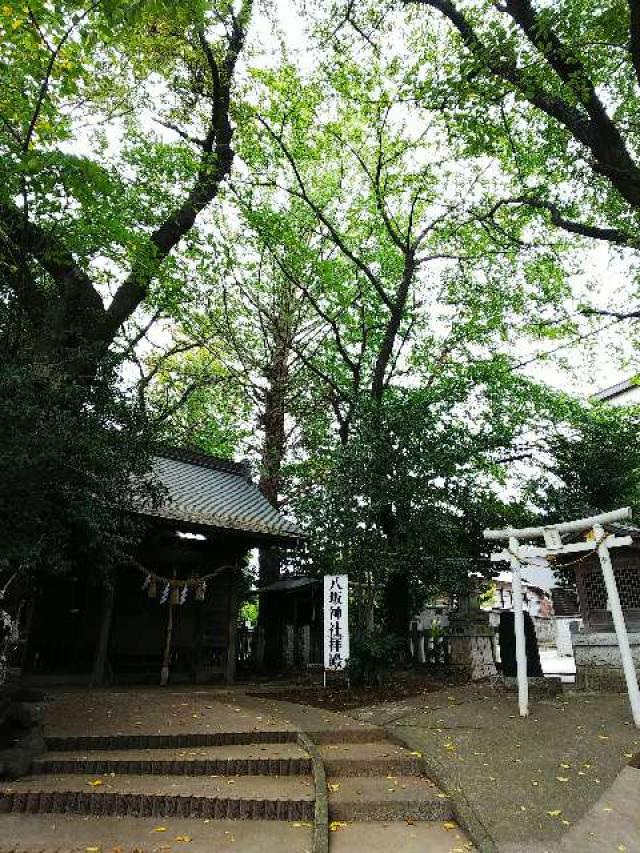 神奈川県相模原市南区上鶴間本町9-17-32長島神社 八坂神社の写真2