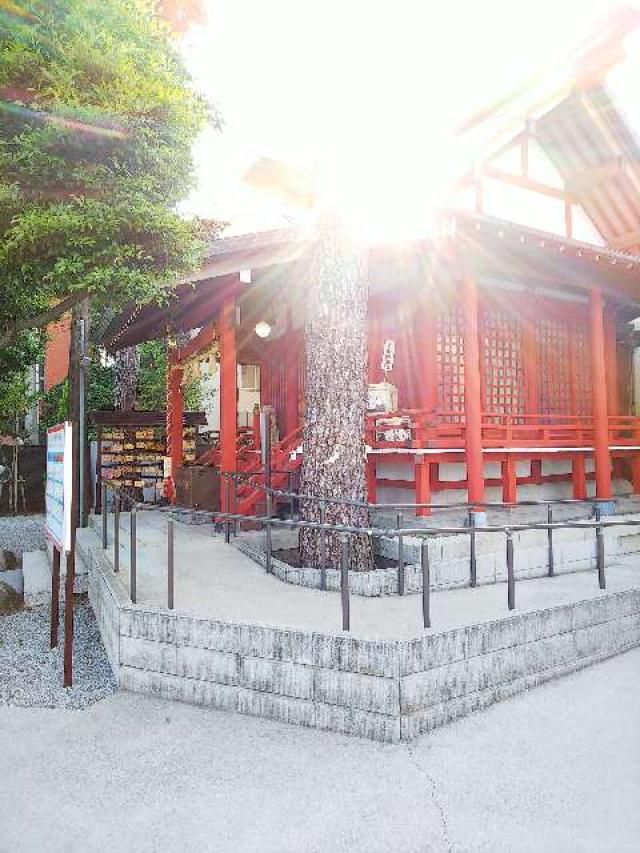 神奈川県相模原市南区南台5-9-5 二宮神社の写真2