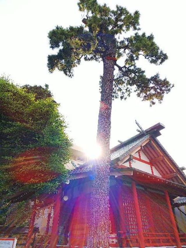 神奈川県相模原市南区南台5-9-5 二宮神社の写真13