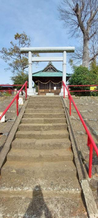 日枝神社の参拝記録(まーぼーさん)