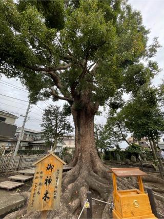 日々神社の参拝記録(りんごさん)