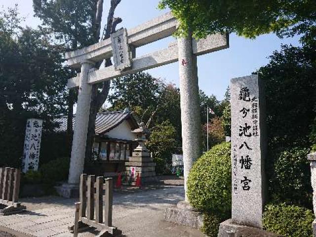 神奈川県相模原市中央区上溝1678 亀ヶ池八幡宮の写真2