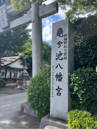 亀ヶ池八幡宮の参拝記録(⛩️🐍🐢まめ🐢🐍⛩️さん)