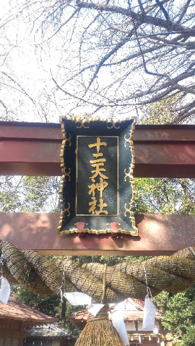 神奈川県相模原市南区下溝2376 十二天神社の写真3