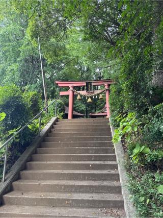 十二天神社の参拝記録(⛩️🎠🐢まめ🐢🎠⛩️さん)