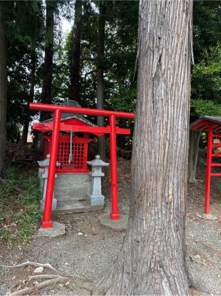 天王社の参拝記録(⛩️🐍🐢まめ🐢🐍⛩️さん)
